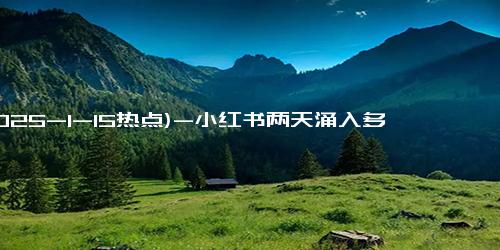 (2025-1-15热点)-小红书两天涌入多少海外TikTok用户？ 知情人士透露细节